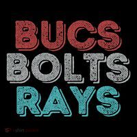 Retro Vintage Bucs Bolts Rays Toddler Hoodie