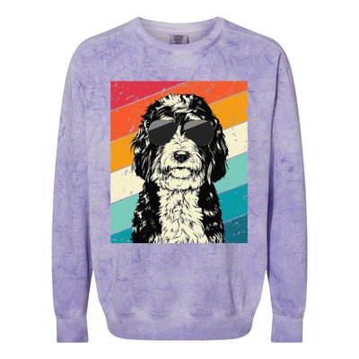 Retro Vintage Bernedoodle With Sunglasses Dog Lovers Colorblast Crewneck Sweatshirt