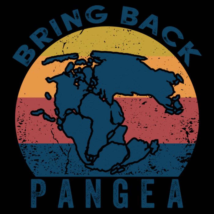 Retro Vintage Bring Back Pangea Funny Geologist Geology Gift Backpack