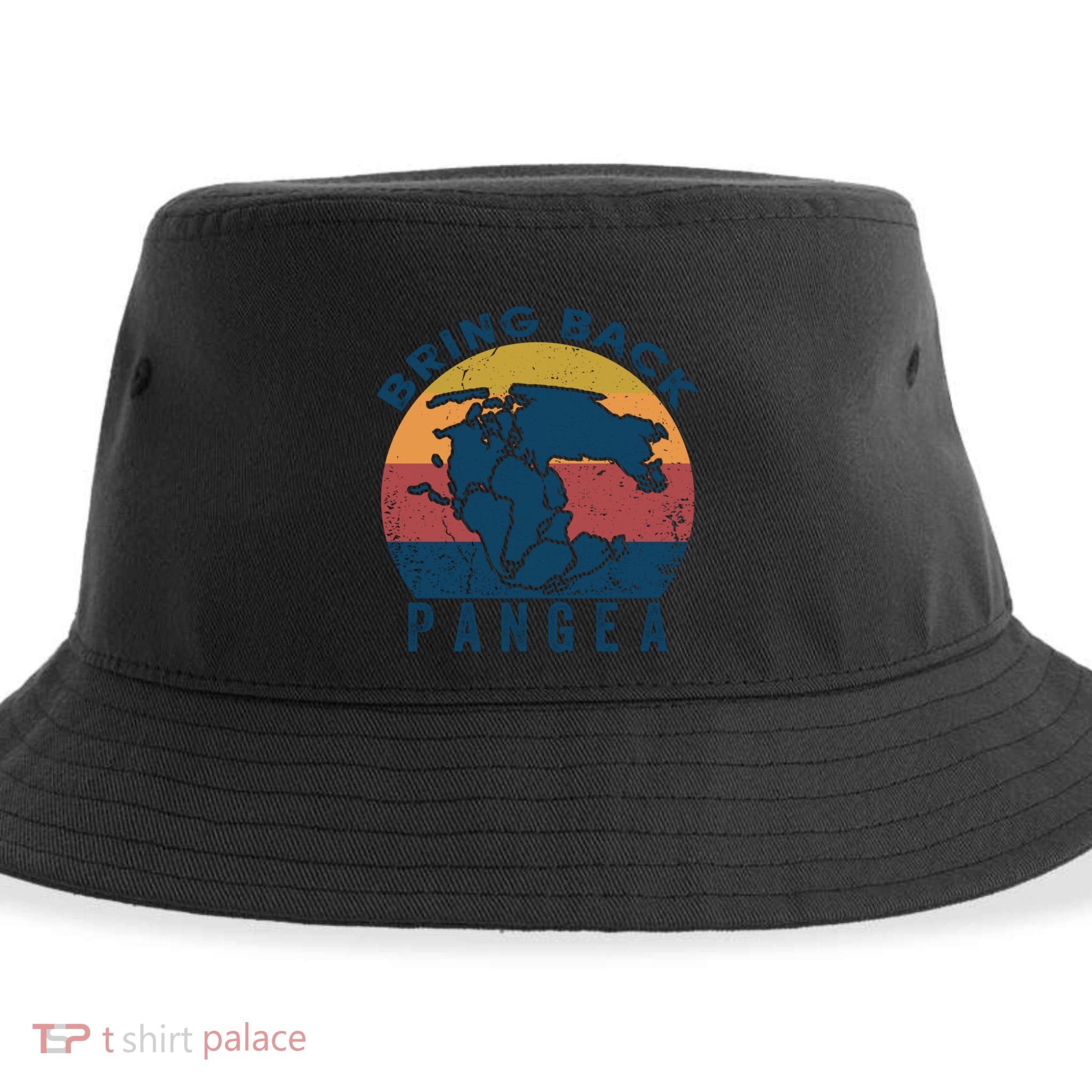 Retro Vintage Bring Back Pangea Funny Geologist Geology Gift Sustainable Bucket Hat