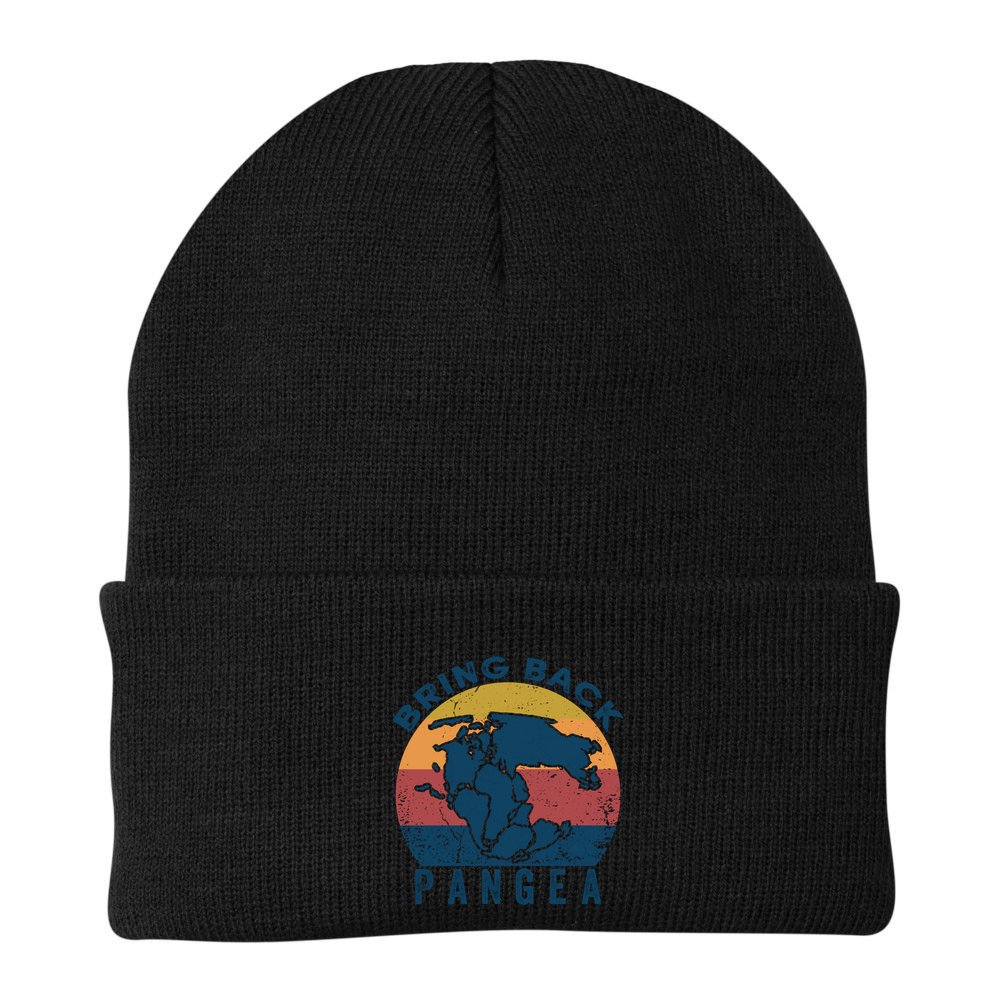 Retro Vintage Bring Back Pangea Funny Geologist Geology Gift Beanie