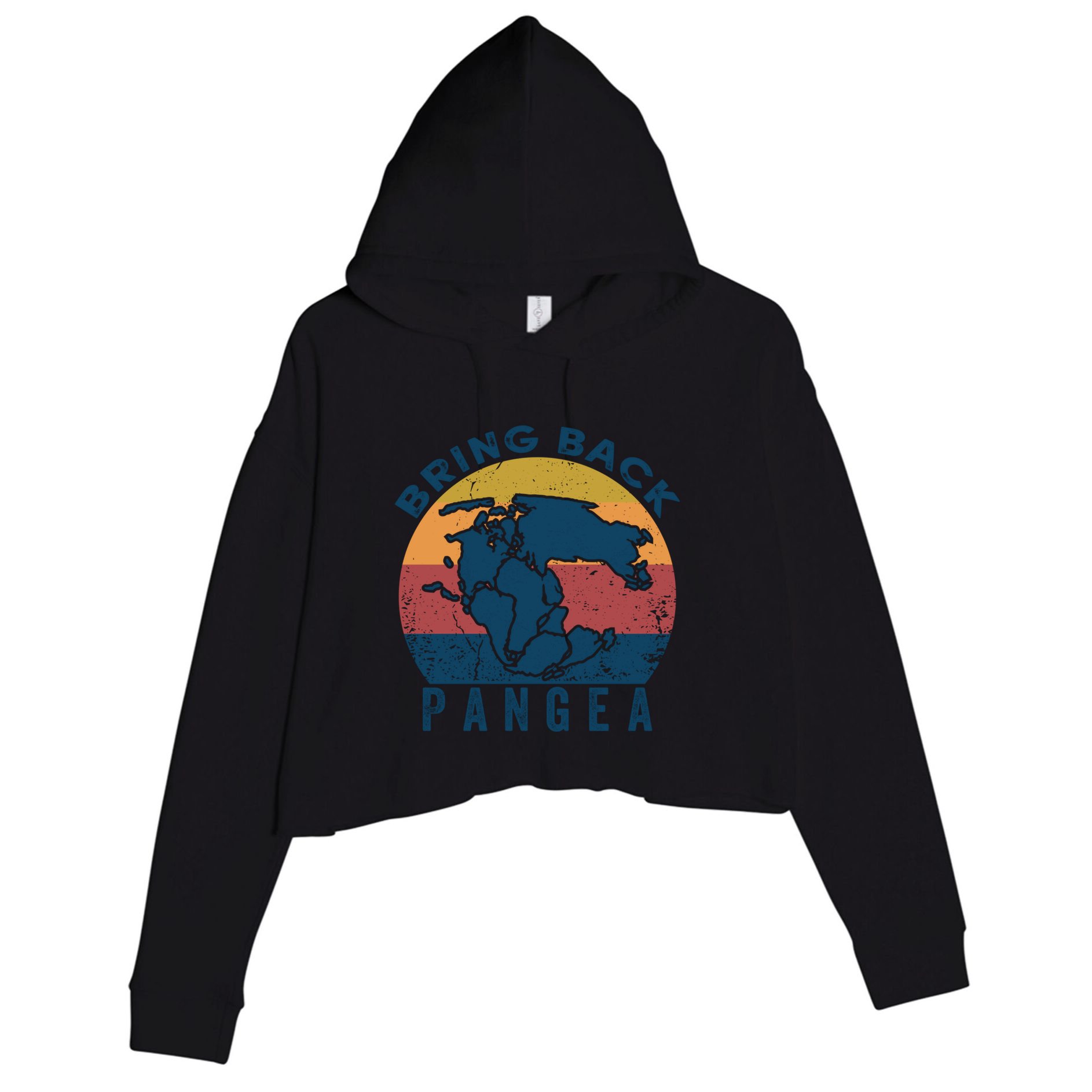 Retro Vintage Bring Back Pangea Funny Geologist Geology Gift Crop Fleece Hoodie