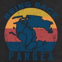 Retro Vintage Bring Back Pangea Funny Geologist Geology Gift Golf Towel