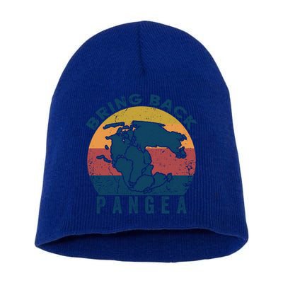 Retro Vintage Bring Back Pangea Funny Geologist Geology Gift Short Acrylic Beanie