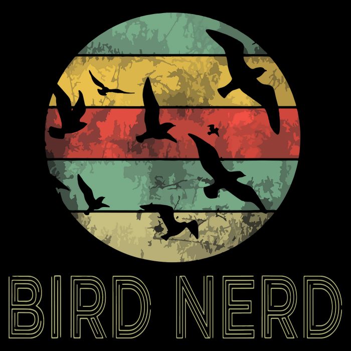 Retro Vintage Birding Bird Watching Funny Bird Watcher Toddler T-Shirt