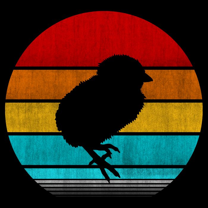 Retro Vintage Chick Bucket Hat
