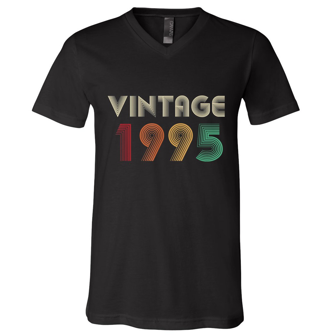 Retro Vintage Classic 1995 29th Birthday Gift 29 Years Old V-Neck T-Shirt