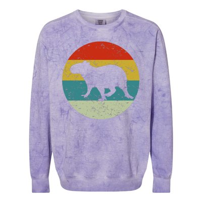 Retro Vintage Capybara Colorblast Crewneck Sweatshirt