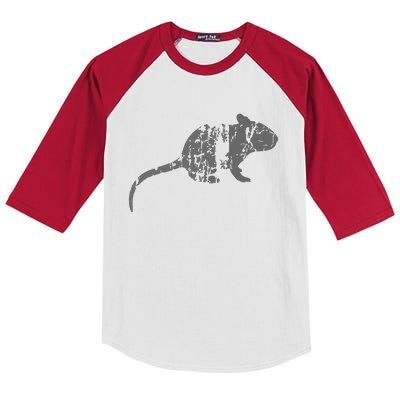 Rat Vintage Design Rat Print Kids Colorblock Raglan Jersey