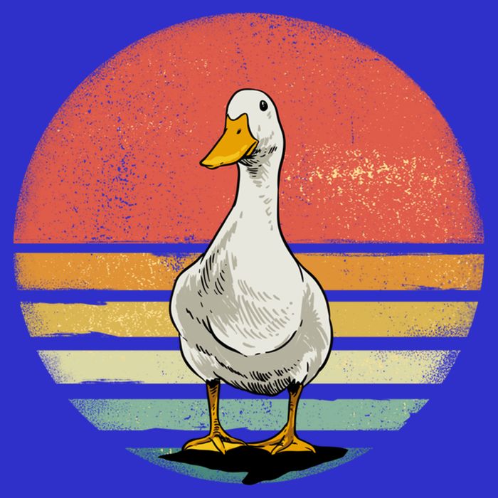 Retro Vintage Duck Gift Kids T-Shirt
