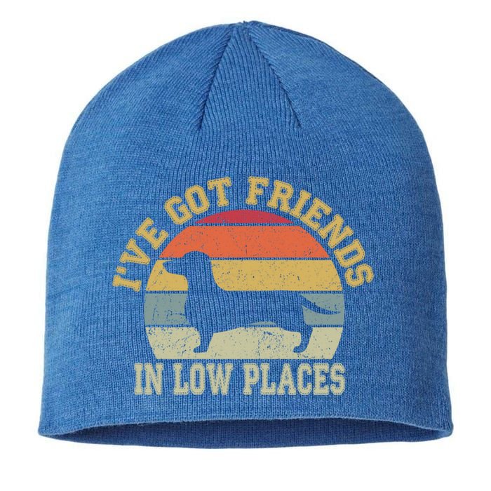 Retro Vintage Dachshund I've Got Friends In Low Place Gift Sustainable Beanie