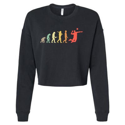 Retro Volleyball Evolution Gift For Volleyball Players Gift Cropped Pullover Crew