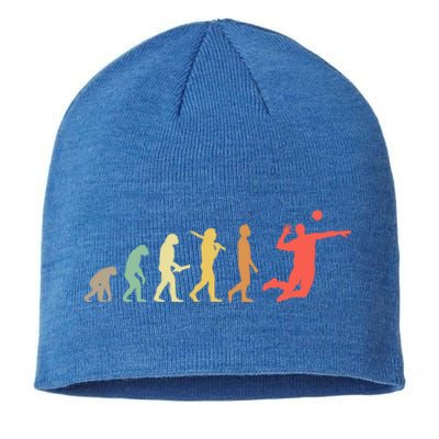 Retro Volleyball Evolution Gift For Volleyball Players Gift Sustainable Beanie