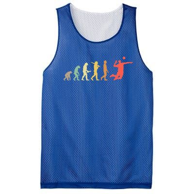 Retro Volleyball Evolution Gift For Volleyball Players Gift Mesh Reversible Basketball Jersey Tank