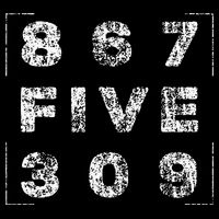 Retro Vintage Eighties Tee 8675309 Nostalgic and Funny 80's T-Shirt