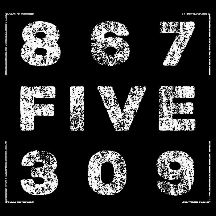 Retro Vintage Eighties Tee 8675309 Nostalgic and Funny 80's T-Shirt