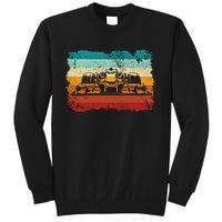 Retro Vintage Formula Racing Lovers Silhouette Race Car Fan Giftretro Vintage Fo Sweatshirt