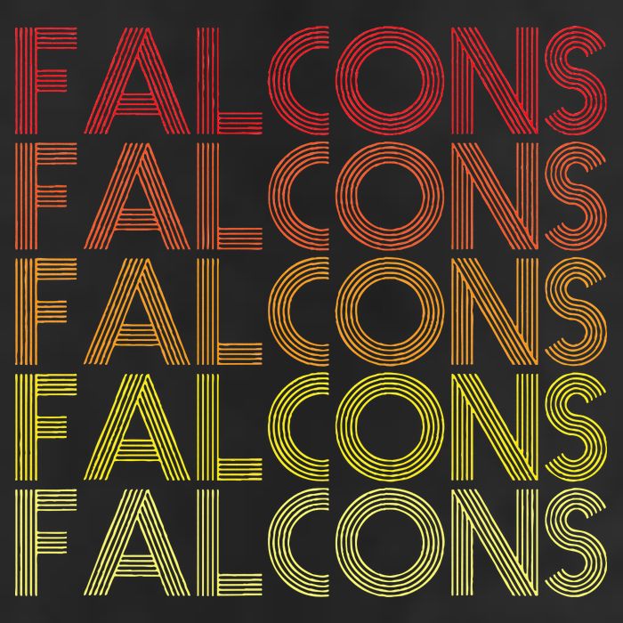 Retro Vintage Falcons Hat