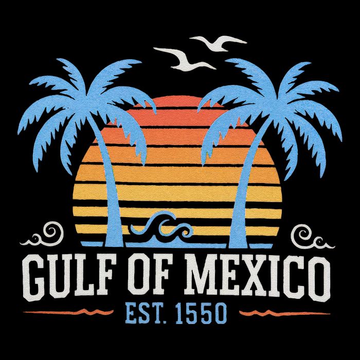 Retro Vintage Gulf Of Mexico Est 1550 Ideal Beach Wear Womens Tank Top