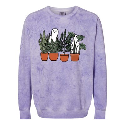 Retro Vintage Ghost Plant Lady Halloween Plants And Ghosts Funny Gift Colorblast Crewneck Sweatshirt