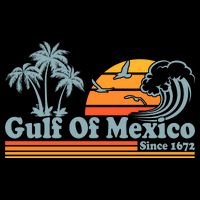 Retro Vintage Gulf Of Mexico Since 1672 Kids Hoodie