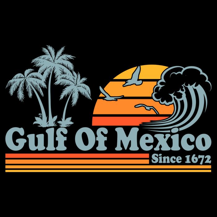 Retro Vintage Gulf Of Mexico Since 1672 Kids Hoodie