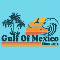 Retro Vintage Gulf Of Mexico Since 1672 Womens T-Shirt