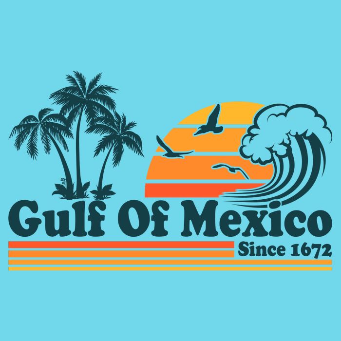 Retro Vintage Gulf Of Mexico Since 1672 Womens T-Shirt