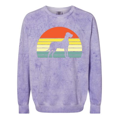 Retro Vintage Great Dane Dog Gifts For Men Women Kids Colorblast Crewneck Sweatshirt