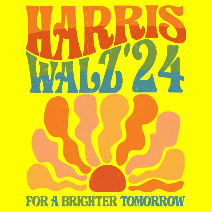 Retro Vintage Harris Walz For A Brighter Future 2024 Election T-Shirt