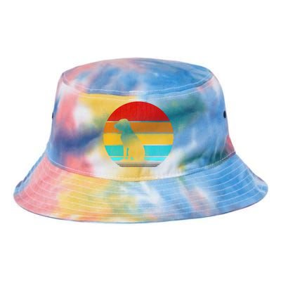 Retro Vintage Hungarian Vizsla Tie Dye Newport Bucket Hat