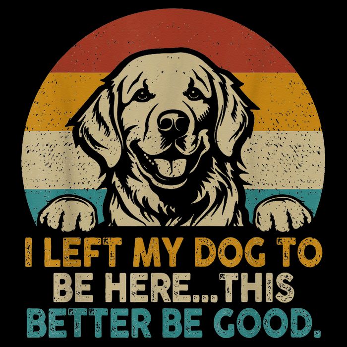 Retro Vintage I Left My Dog To Be Here This Better Be Good Gift Sweatshirt