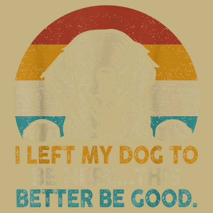 Retro Vintage I Left My Dog To Be Here This Better Be Good Gift Hoodie