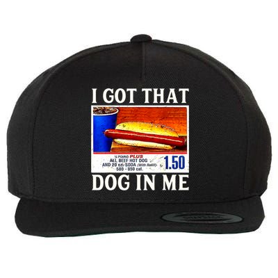 Retro Vintage I Got That Dog In Me Funny Hotdog Wool Snapback Cap