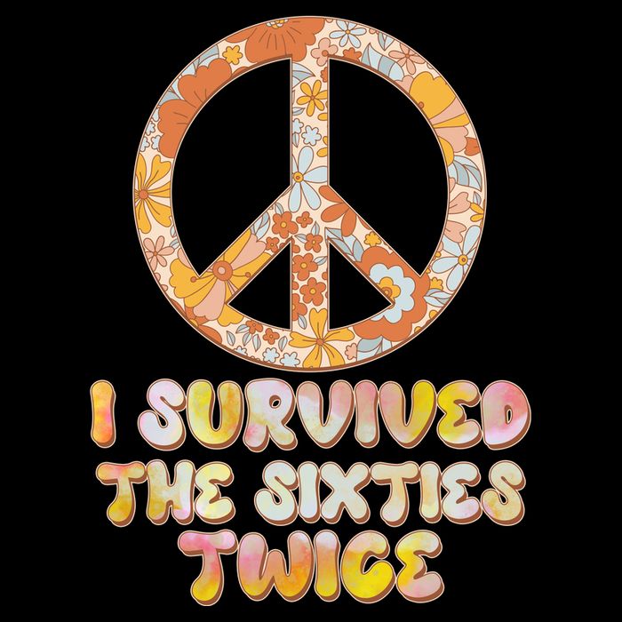 Retro Vintage I Survived The Sixties Twice Toddler Hoodie