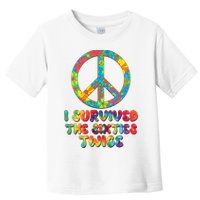 Retro Vintage I Survived The Sixties Twice Rainbow Tie Dye Toddler T-Shirt