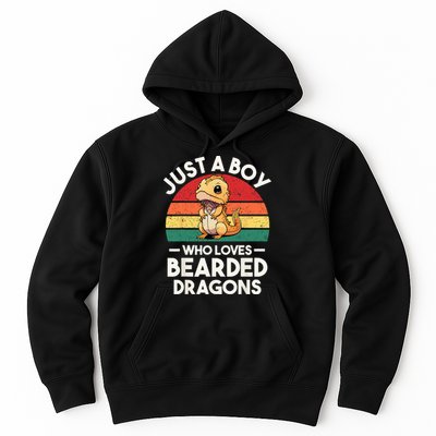 Retro Vintage Just A Boy Who Loves Bearded Dragons Lover Hoodie