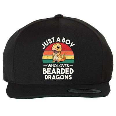 Retro Vintage Just A Boy Who Loves Bearded Dragons Lover Wool Snapback Cap
