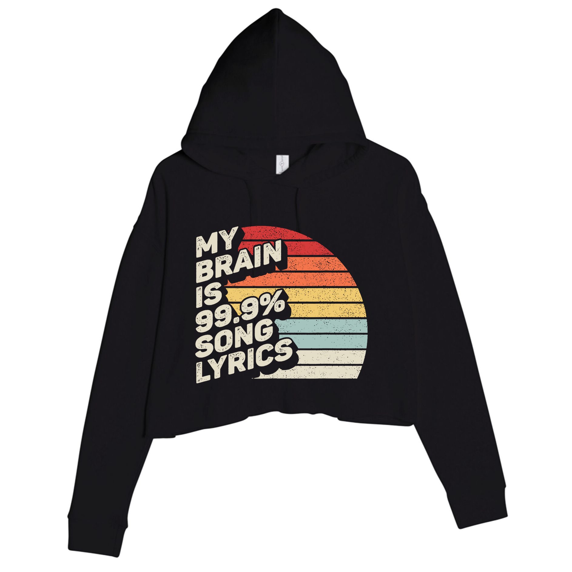 Retro Vintage My Brain Is 99% Song Lyrics Music Lover Gift Crop Fleece Hoodie