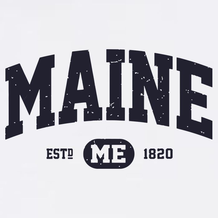 Retro Vintage Maine Toddler T-Shirt