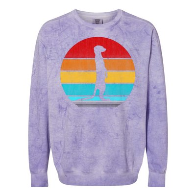 Retro Vintage Meerkat Colorblast Crewneck Sweatshirt