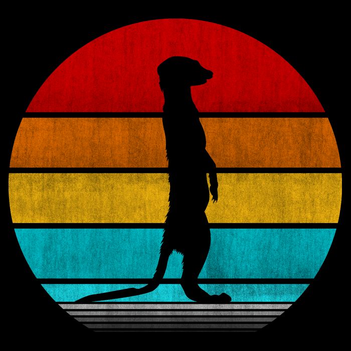 Retro Vintage Meerkat Bucket Hat