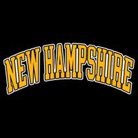 Retro Vintage New Hampshire States American Distressed Gifts Backpack