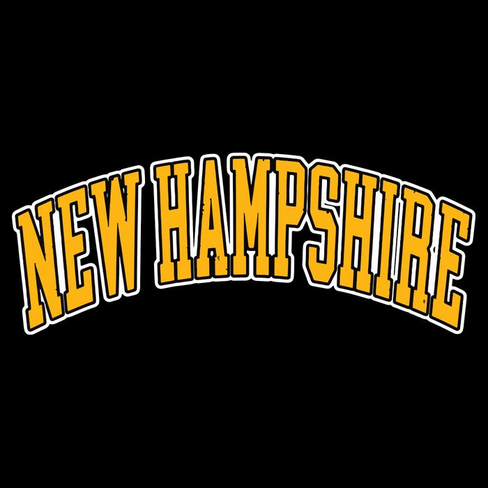 Retro Vintage New Hampshire States American Distressed Gifts Backpack