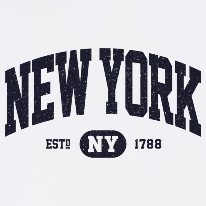 Retro Vintage New York Ny Button