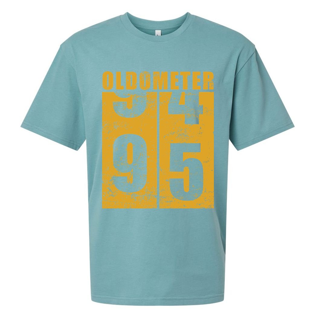 Retro Vintage Oldometer 95 Years Old Sueded Cloud Jersey T-Shirt