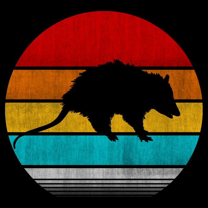Retro Vintage Opossum Toddler T-Shirt