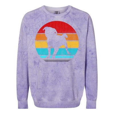 Retro Vintage Pug Colorblast Crewneck Sweatshirt