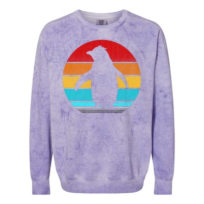 Retro Vintage Penguin Colorblast Crewneck Sweatshirt