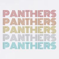 Retro Vintage P.A.N.T.H.E.R.S Button